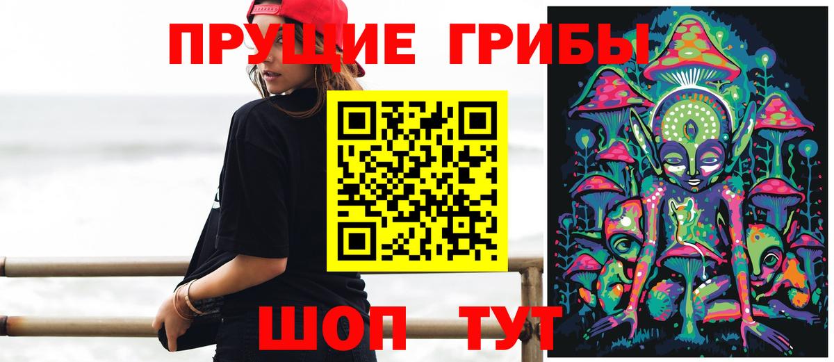 Шелехов  Галлюциногенные грибы Psilocybine cubensis  Вход с VPN 